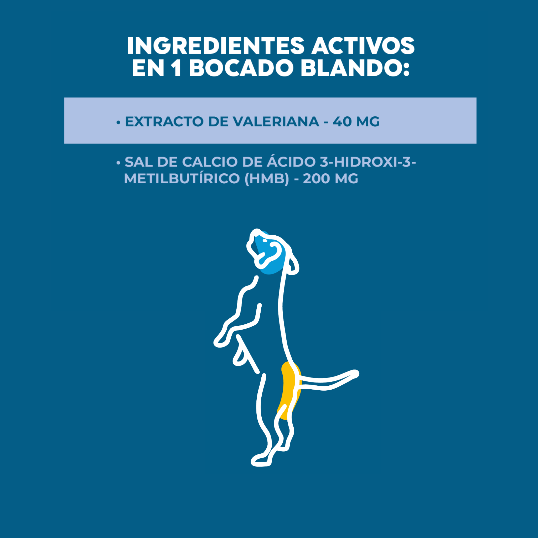 Imagen Móvil