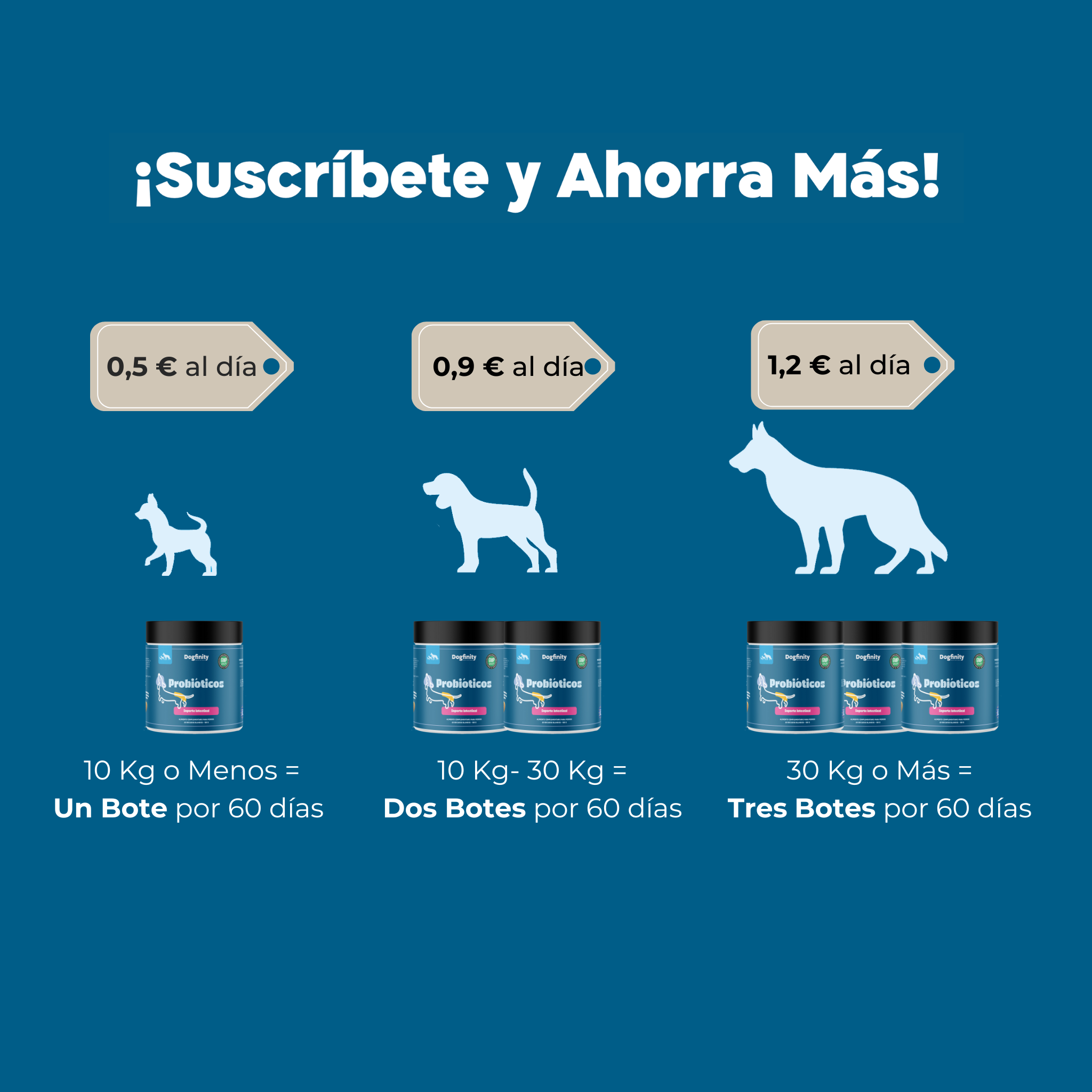 Imagen Móvil