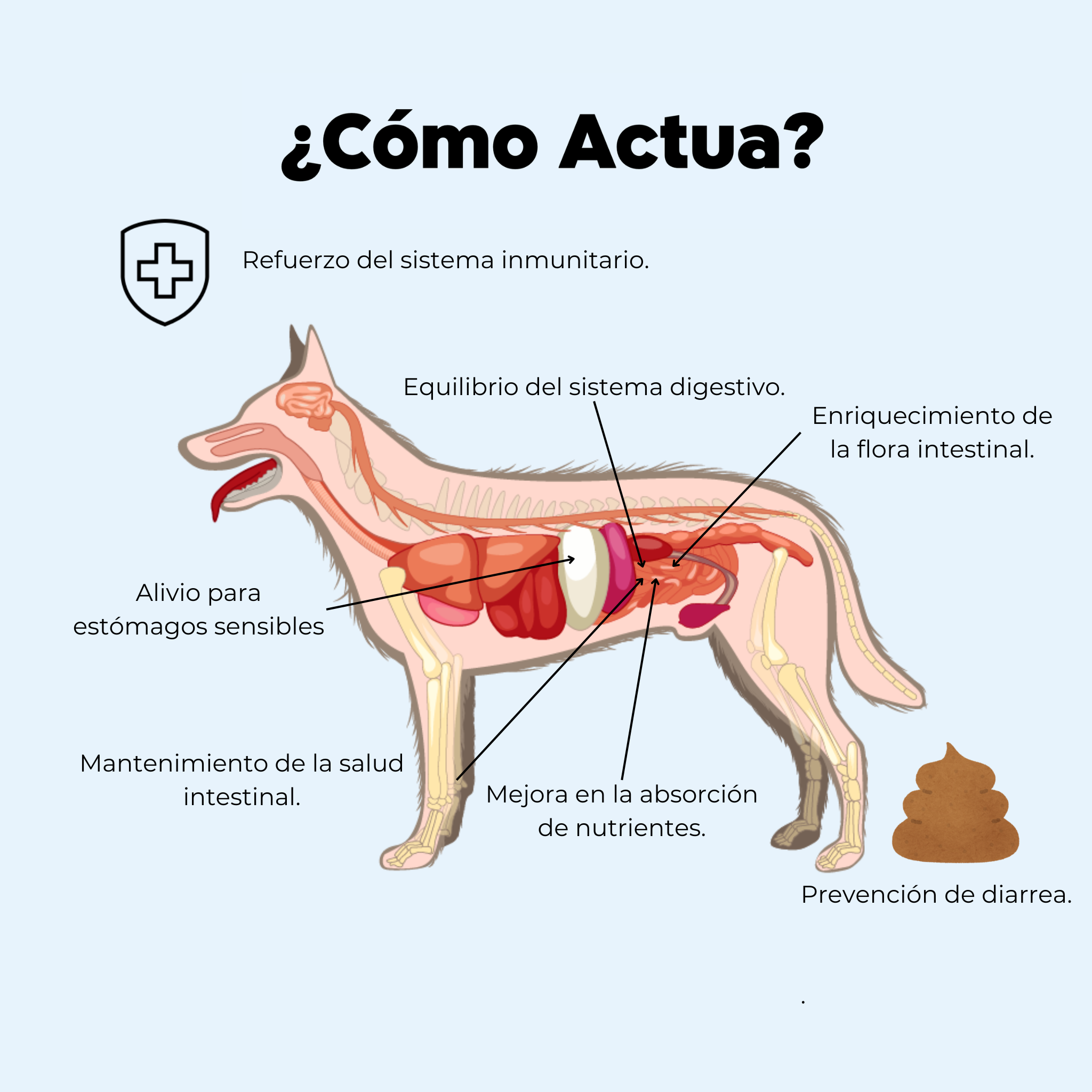 Imagen Móvil