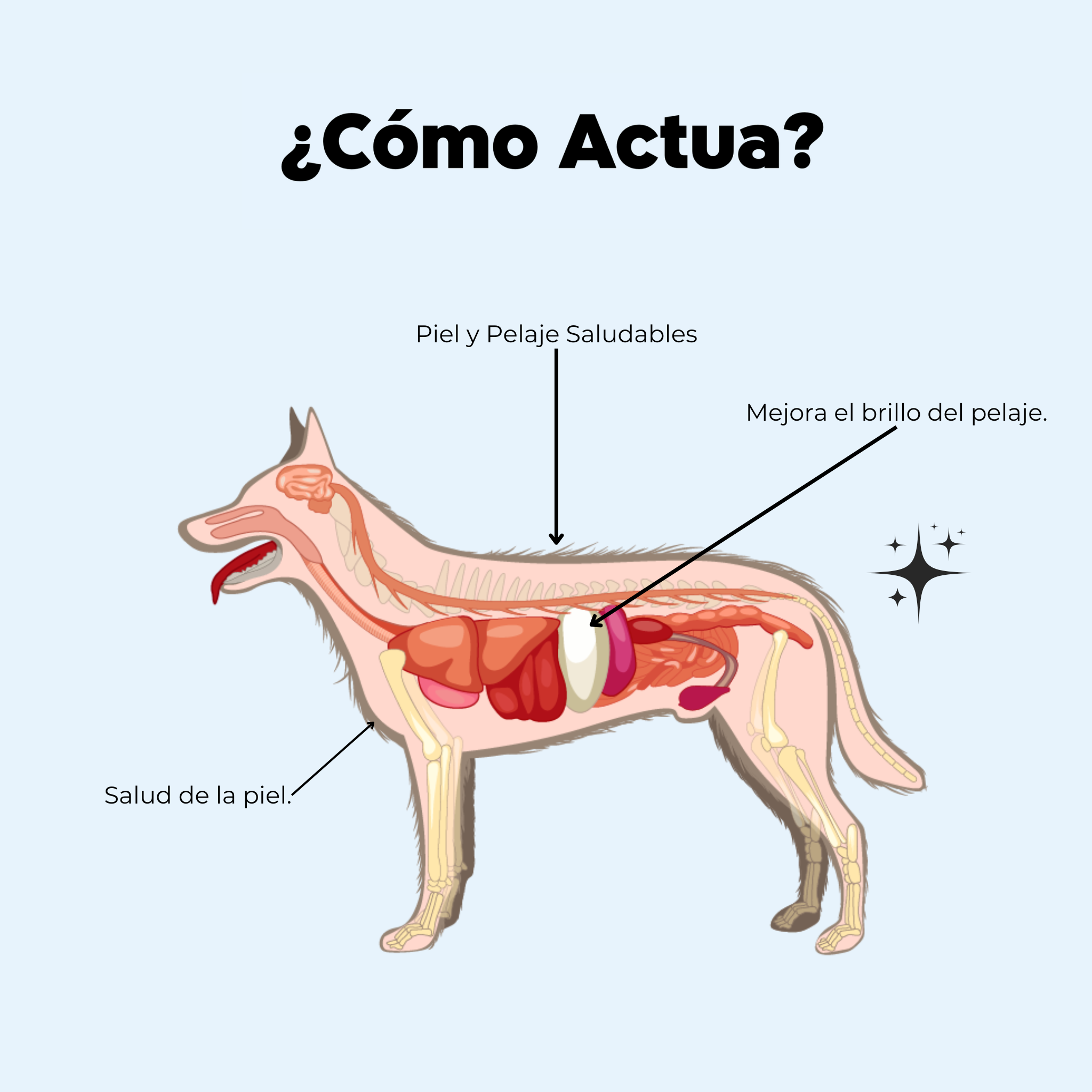Imagen Móvil