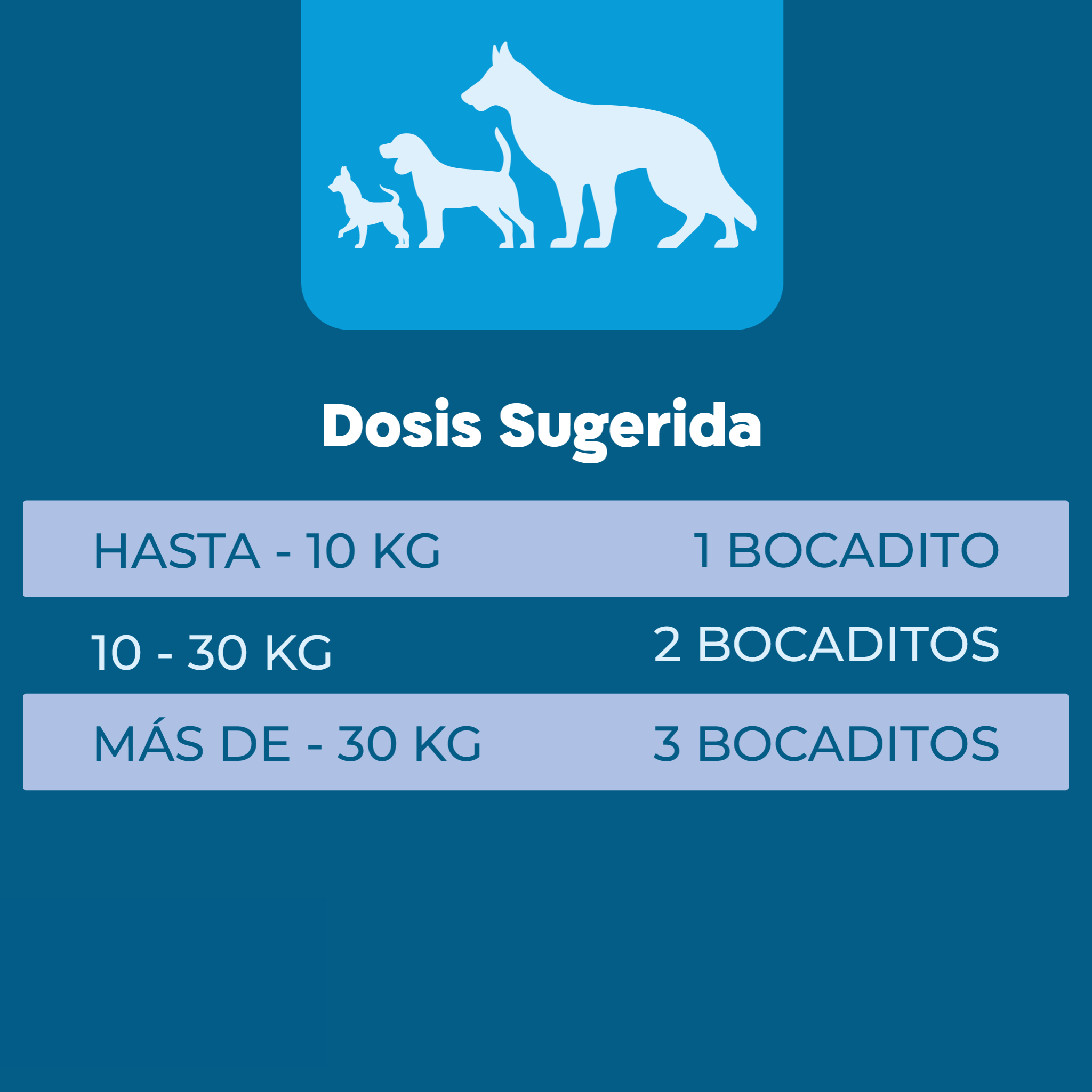 Imagen Móvil