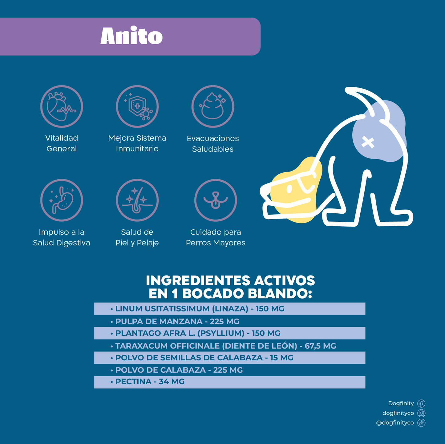 Suplementos digestivos mascota |digestiva Suplementos perros|Dogfinity