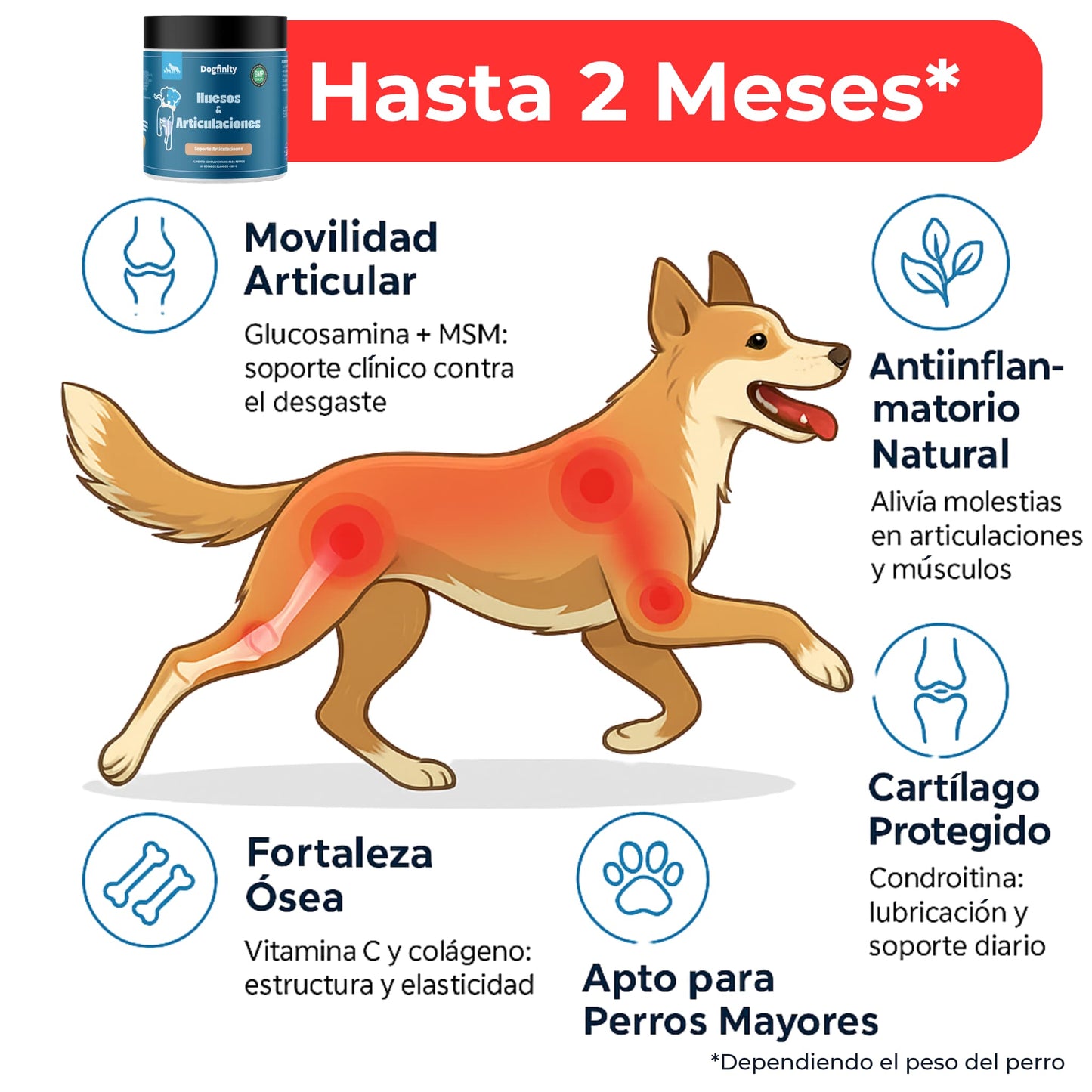 Suplemento Condroprotector para Perros – Huesosy Articulaciones, Glucosamina | Dogfinity - Dogfinity