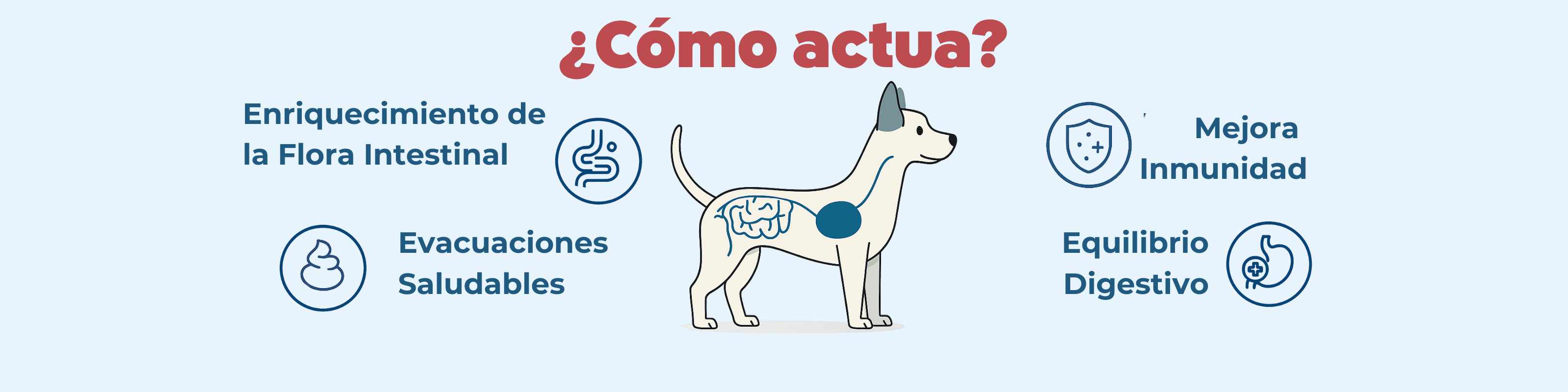 Imagen Desktop