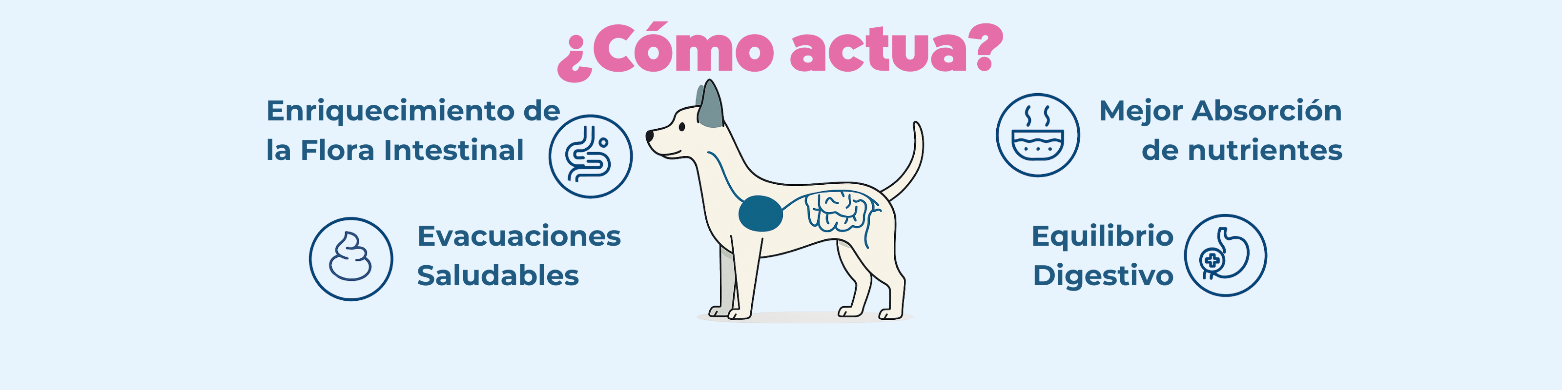 Imagen Desktop