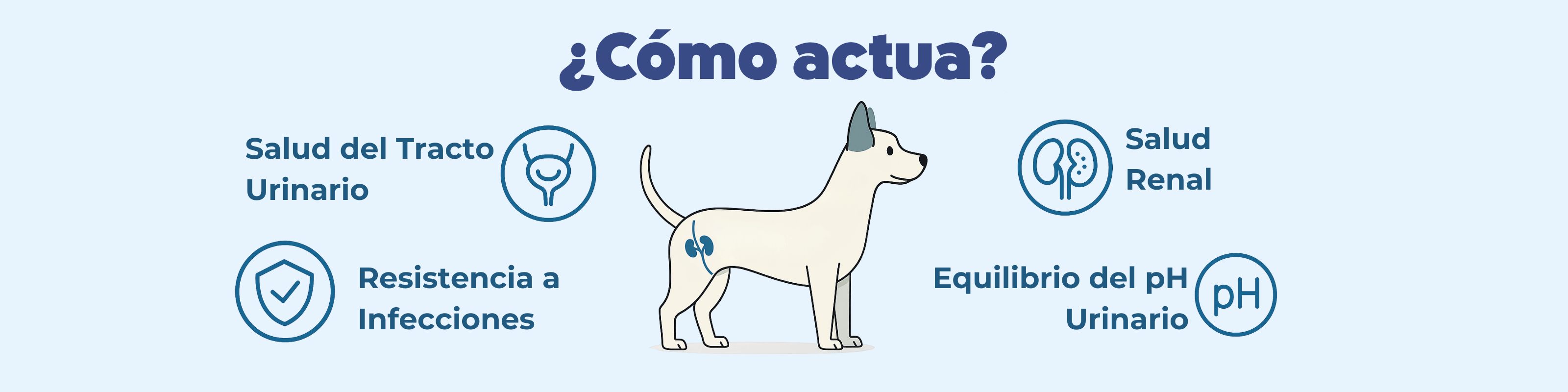 Imagen Desktop