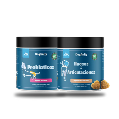 Suplementos para perros con probióticos | Dogfinity