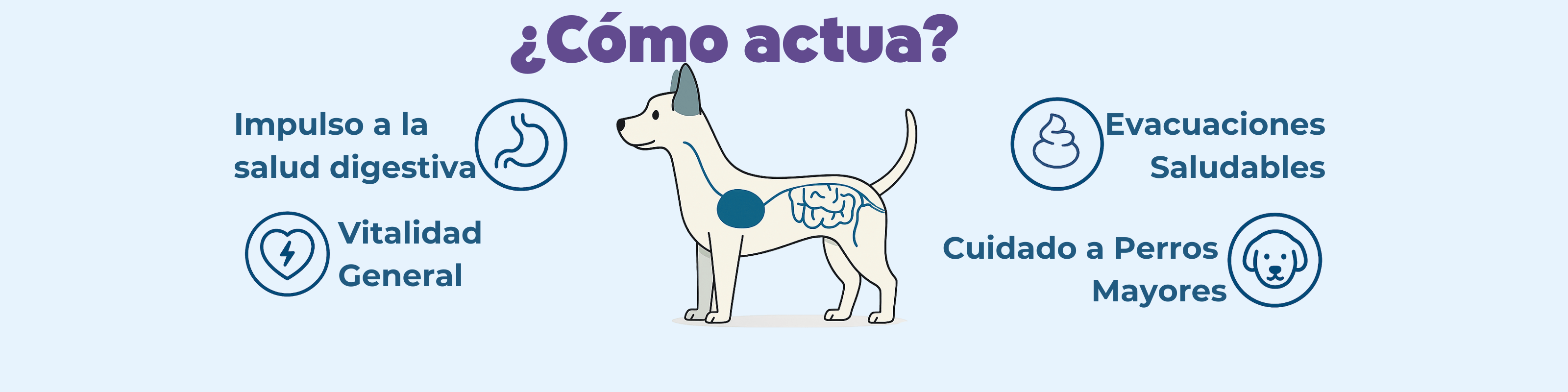 Imagen Desktop