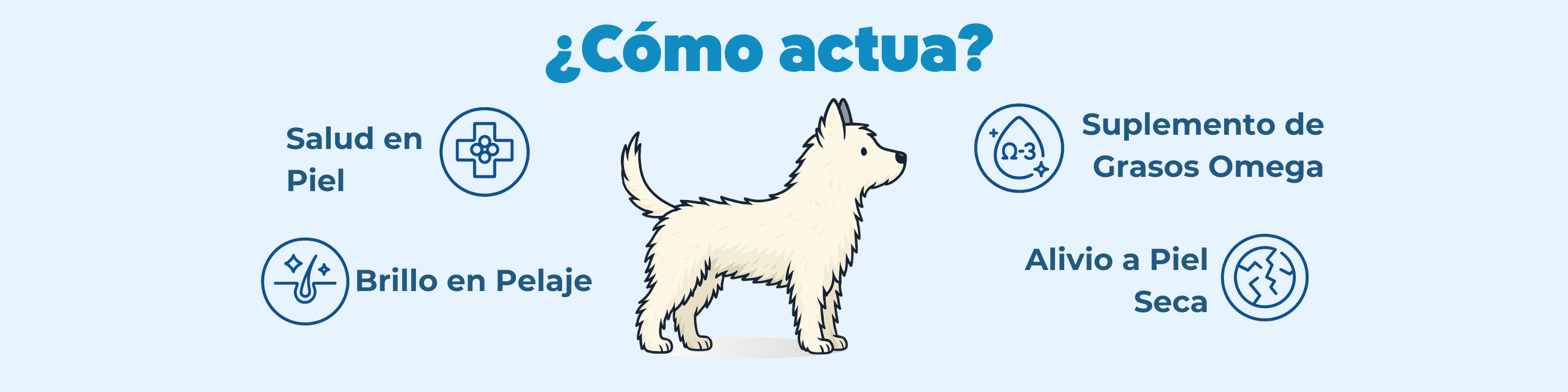 Imagen Desktop