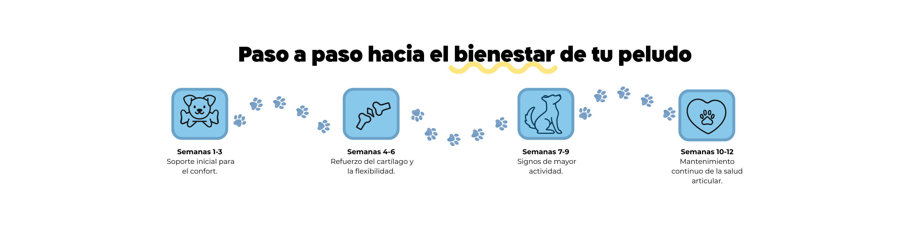 Imagen Desktop