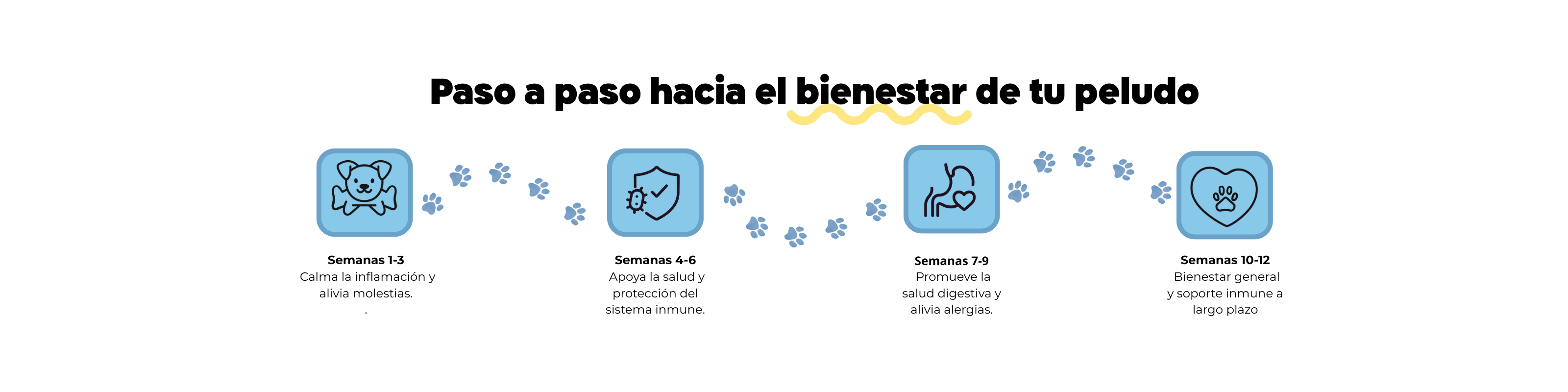 Imagen Desktop