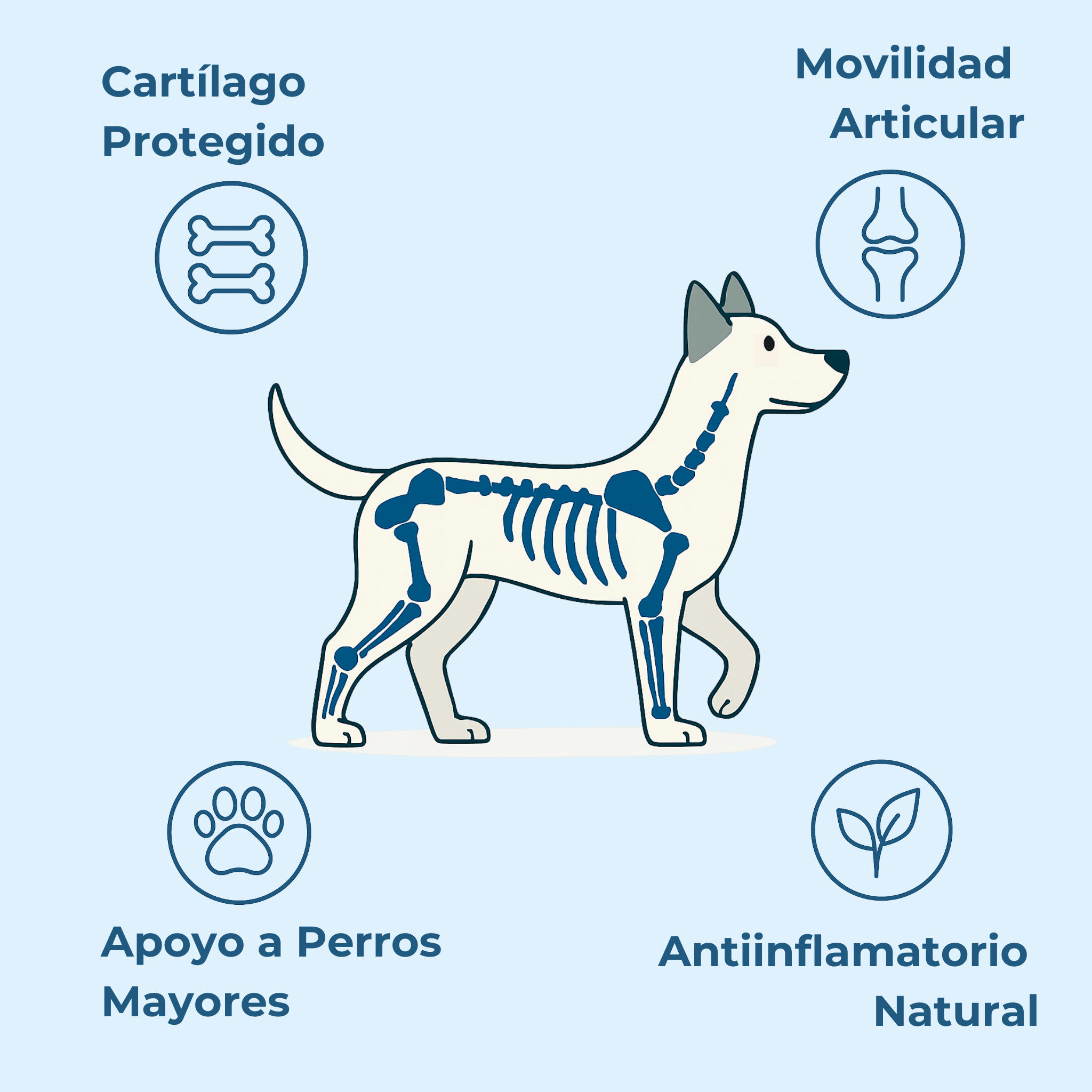 Imagen Móvil