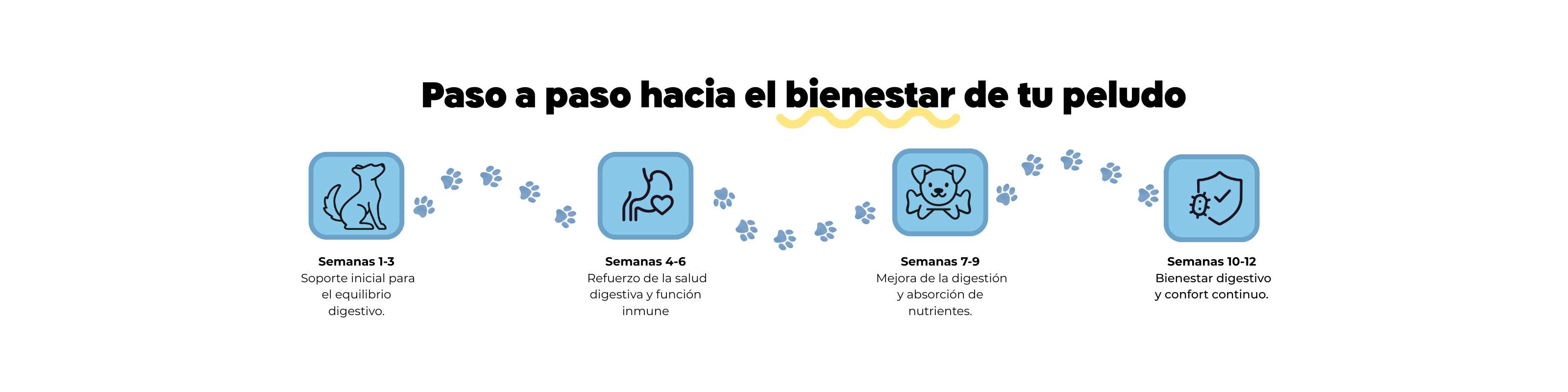 Imagen Desktop