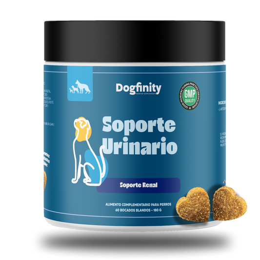 Suplementos para articulaciones en perros | Dogfinity