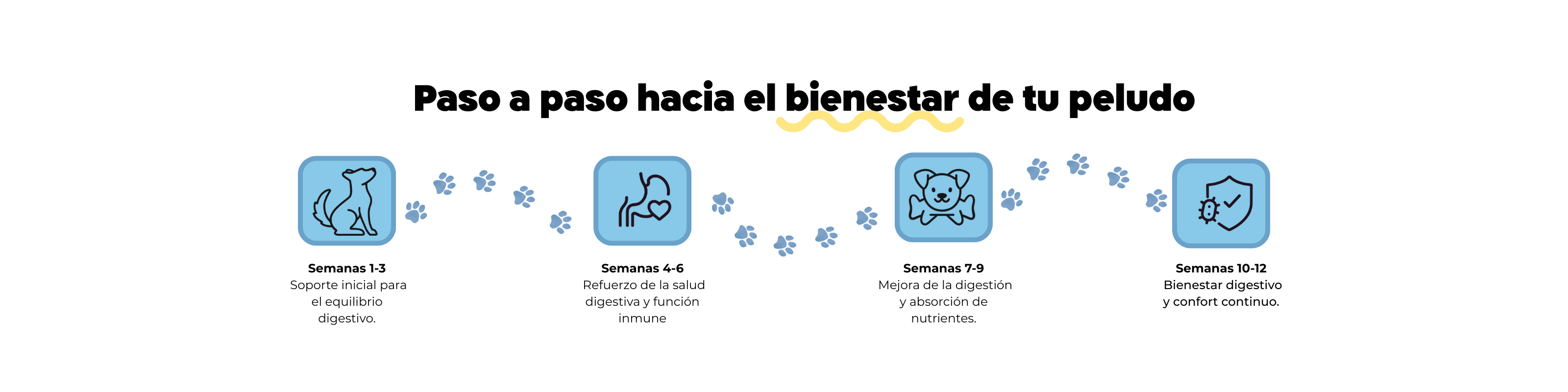 Imagen Desktop