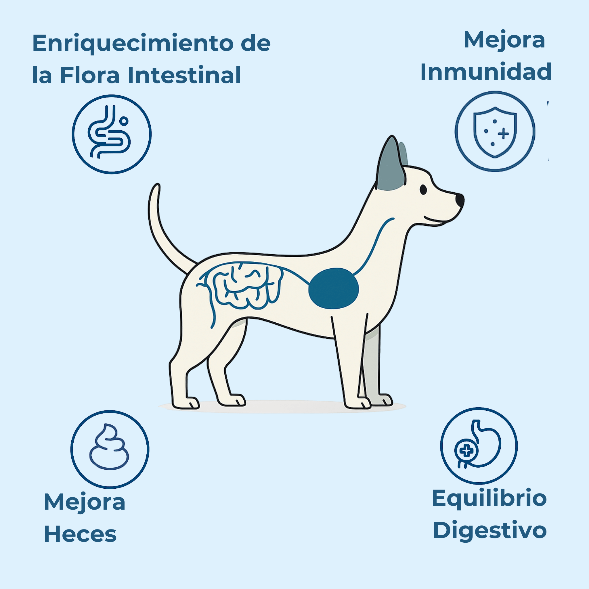Imagen Móvil