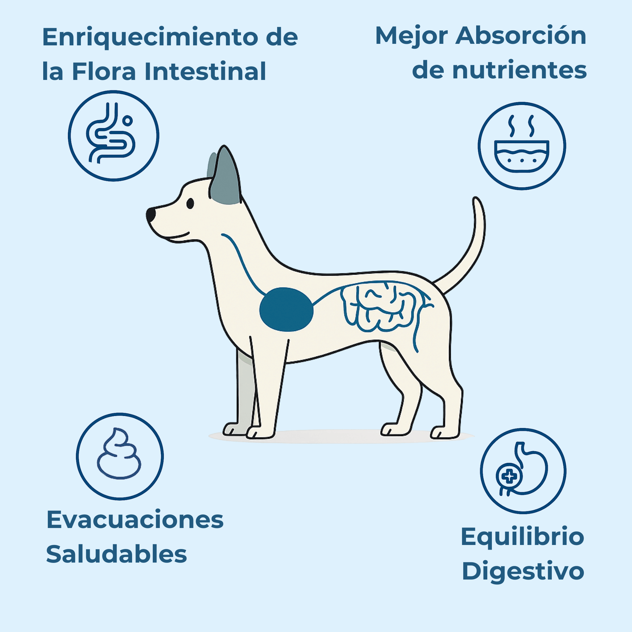 Imagen Móvil