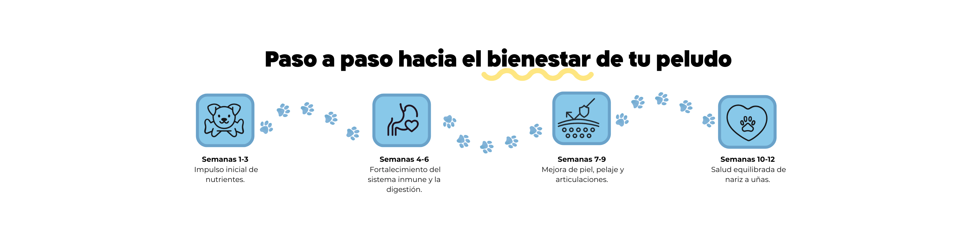 Imagen Desktop