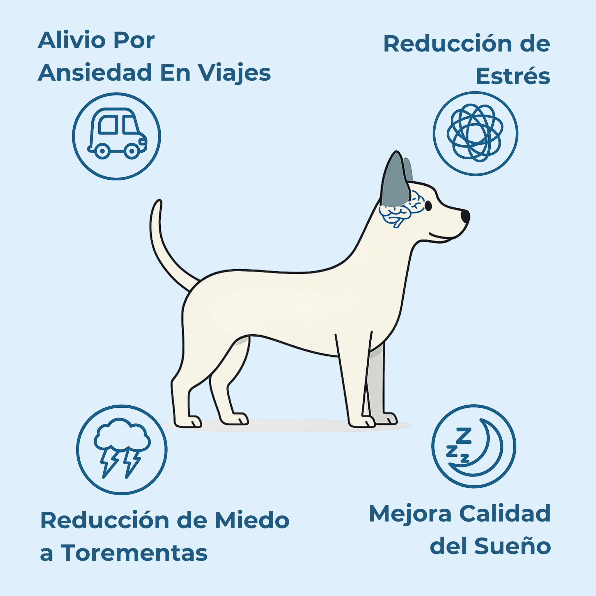 Imagen Móvil