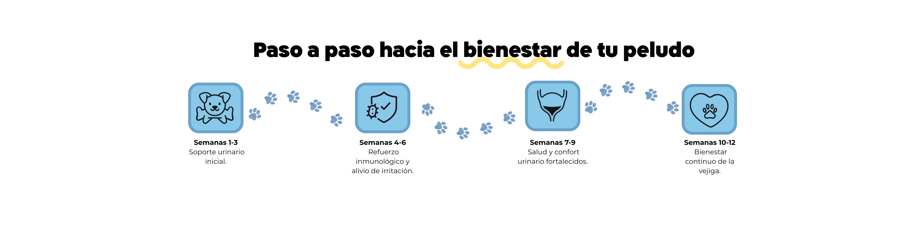 Imagen Desktop