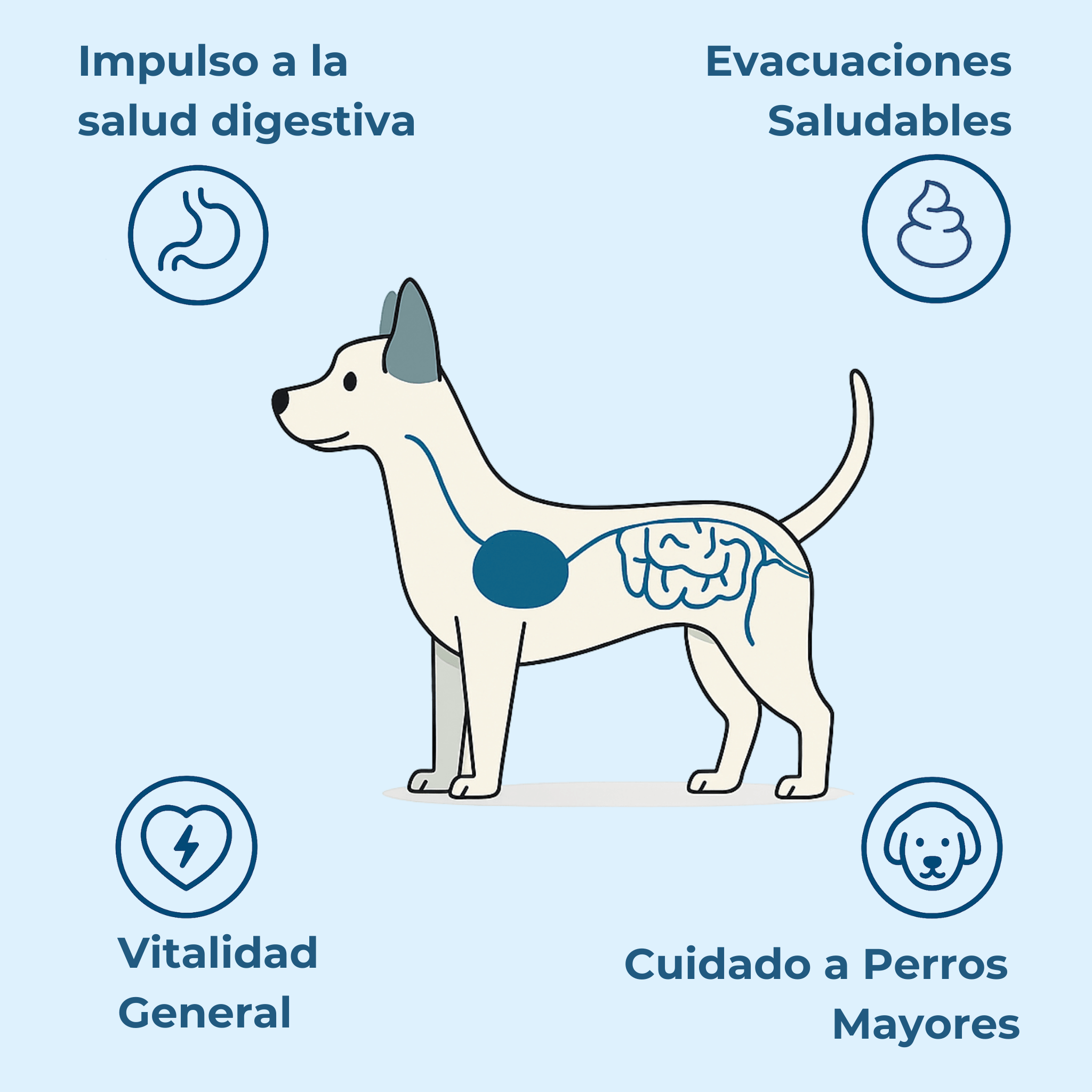 Imagen Móvil