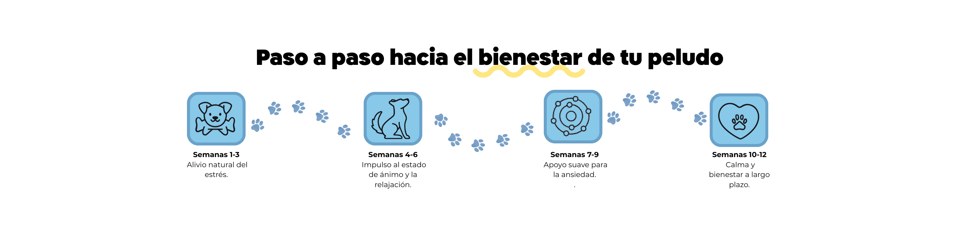 Imagen Desktop