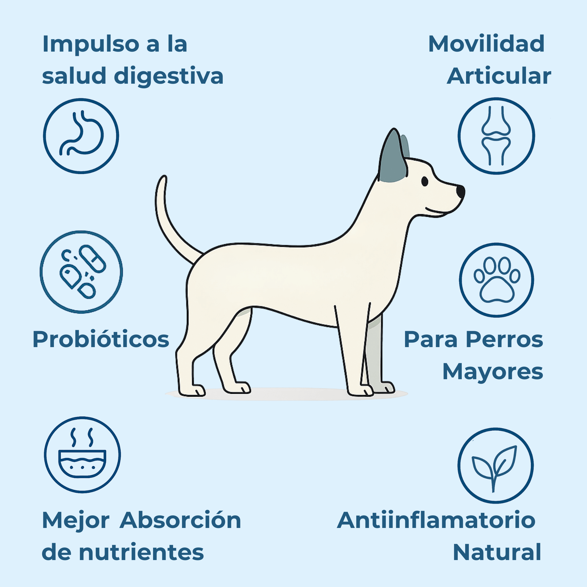 Imagen Móvil