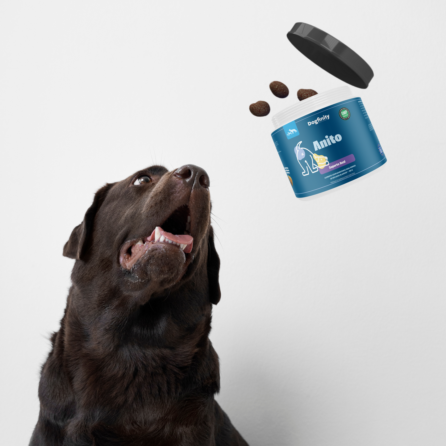 Anito – Suplemento Integral para Perros | Bienestar General | Dogfinity