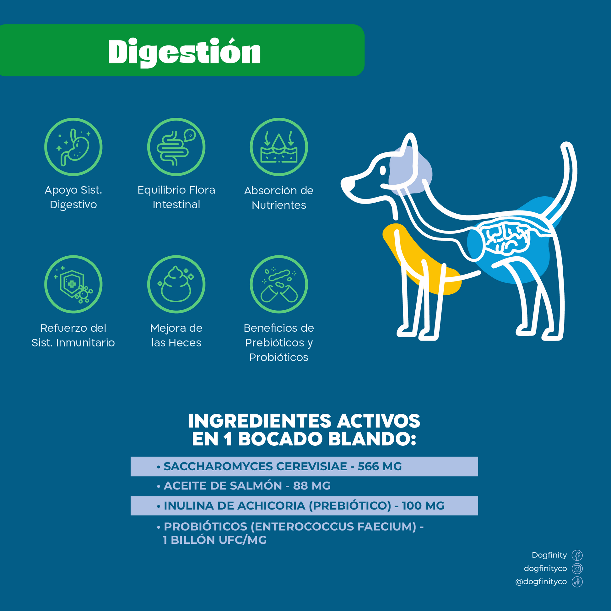 Suplementos digestivos mascota |digestiva Suplementos perros|Dogfinity