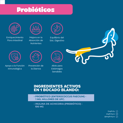 Combo Total - Probióticos - Huesos y Articulaciones - Suplementos Para Perros