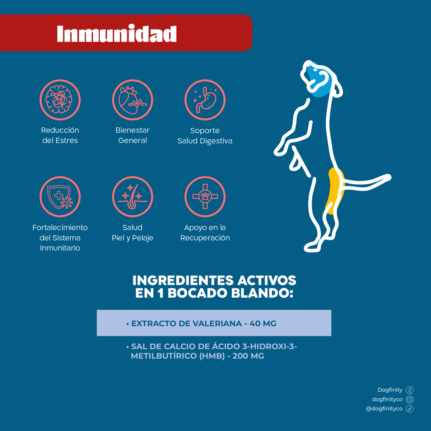 Suplemento Inmunológico para Perros – Refuerzo de Defensas | Dogfinity