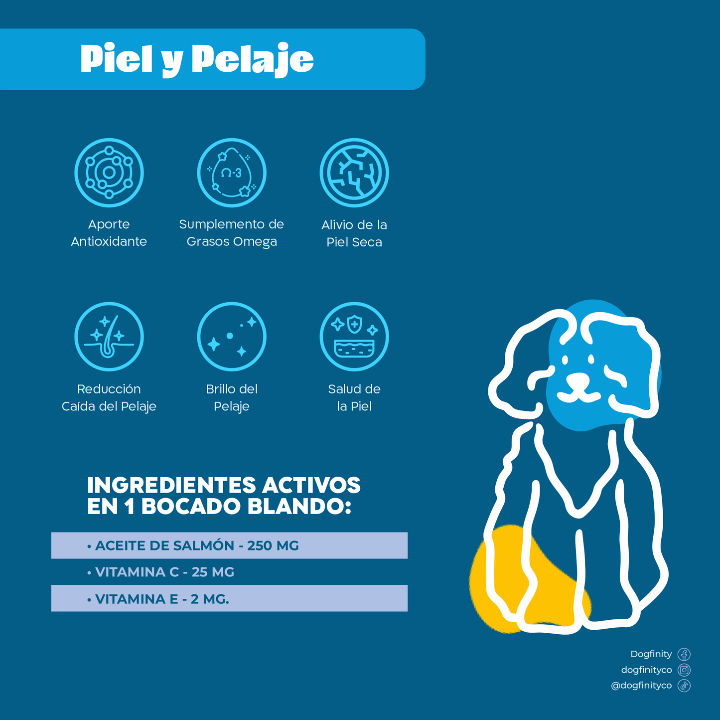 Ficha técnica Piel y Pelaje, Dermatitis