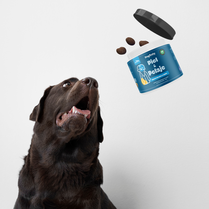 Perro con suplemento piel y pelaje