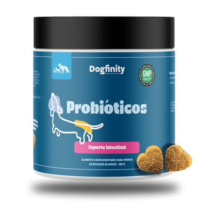suplementos probióticos para perros |prebióticos para perros|Dogfinity