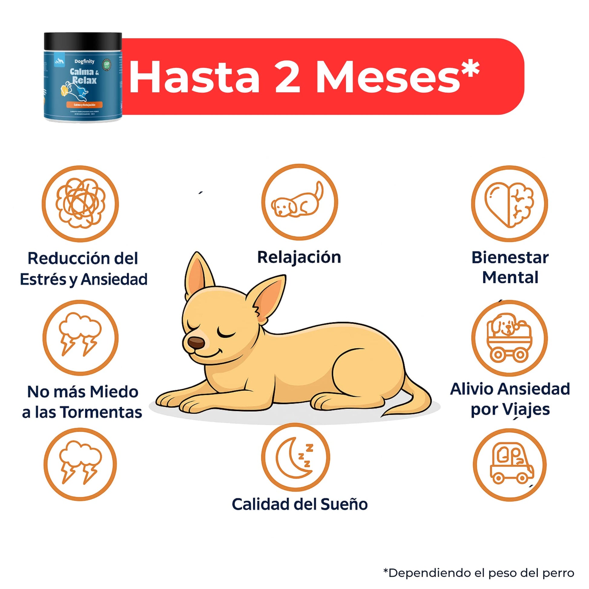 Calma y Relax para Perros – Suplemento Calmante | Dogfinity - Dogfinity