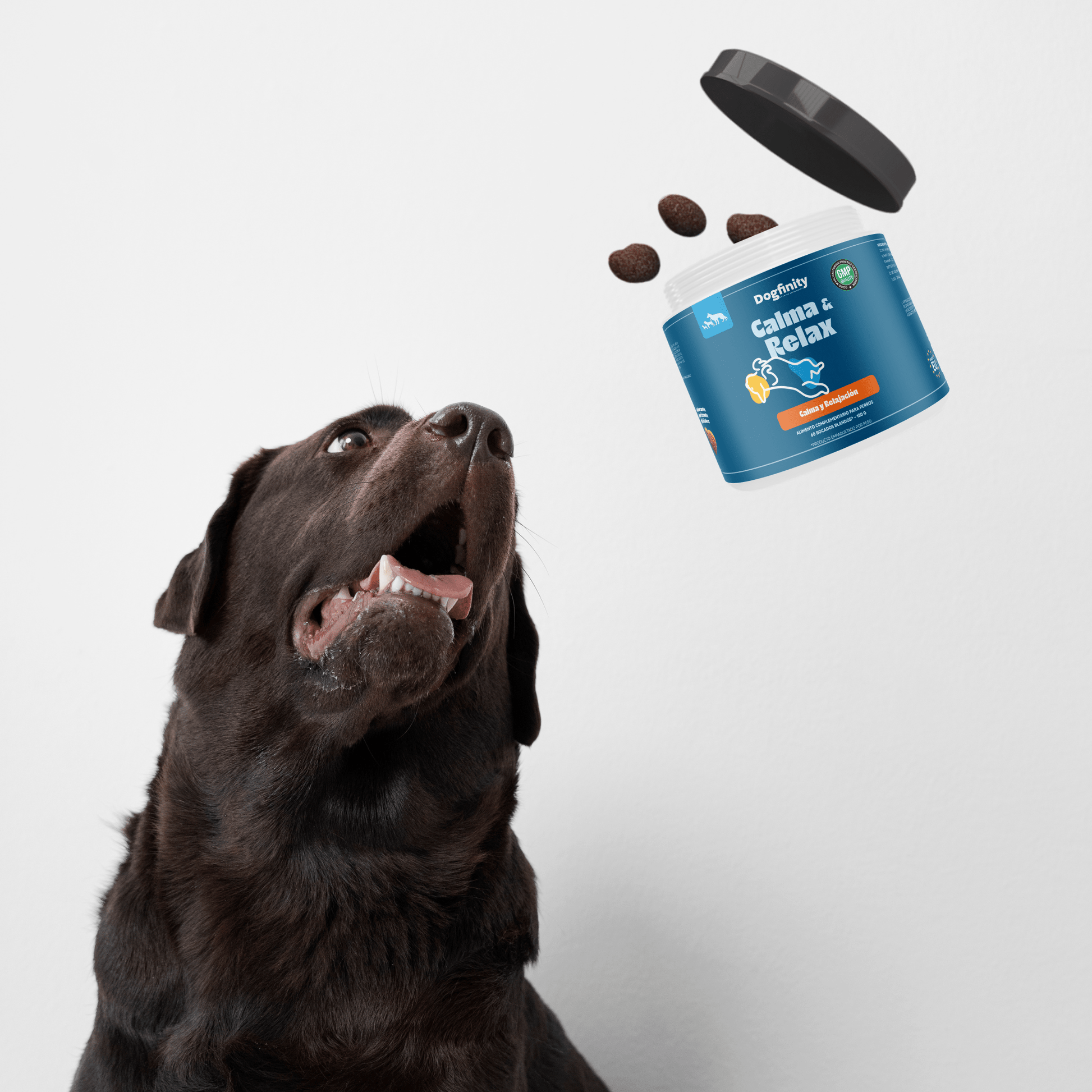 Calma y Relax para Perros – Suplemento Calmante | Dogfinity - Dogfinity