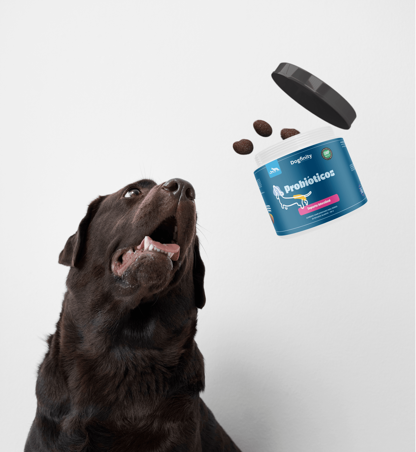 Combo Plus - Soporte Inmunidad - Calma y Relax - Dogfinity