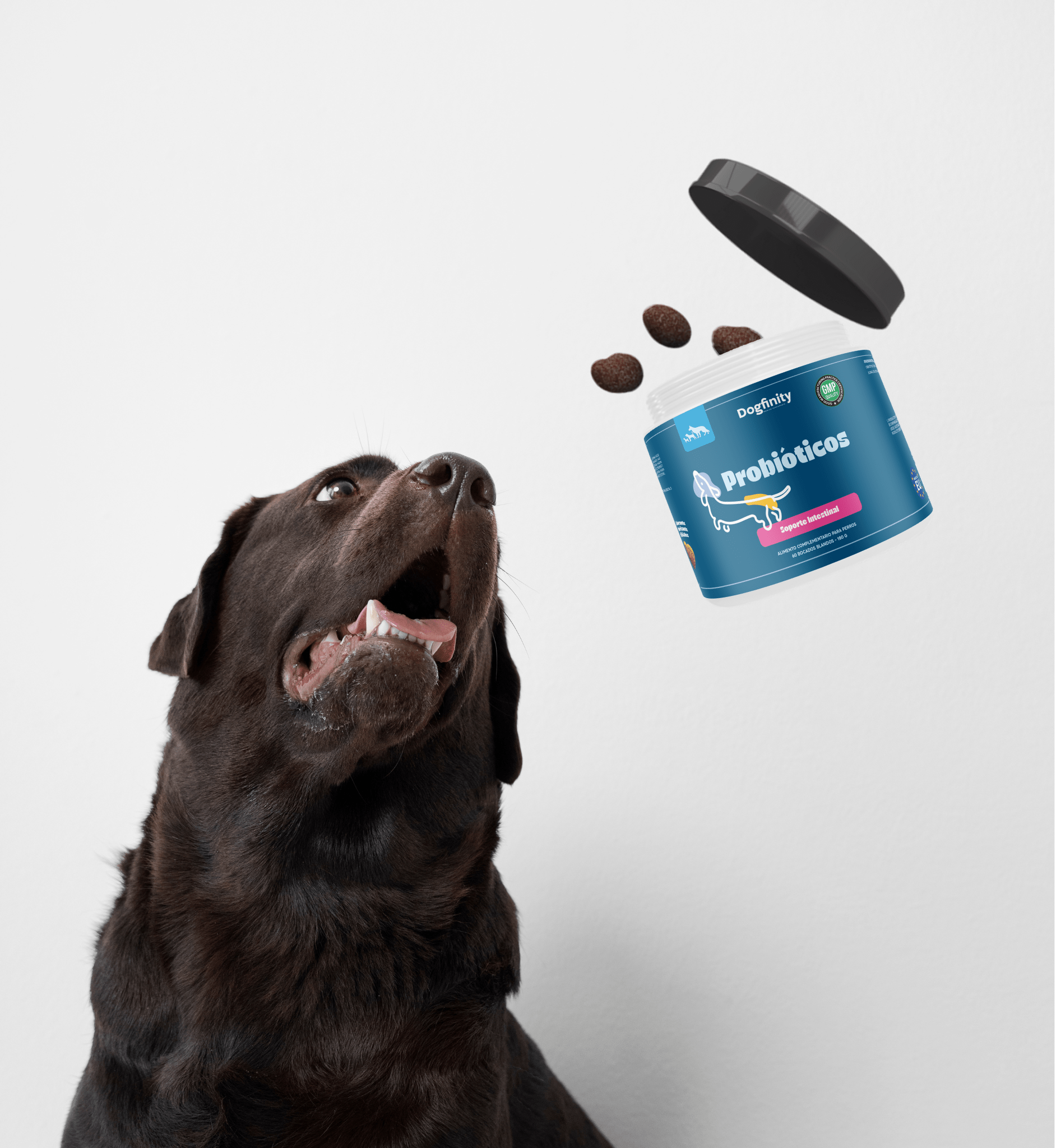 Combo Plus - Soporte Inmunidad - Calma y Relax - Dogfinity