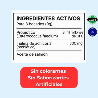 Probióticos para Perros – Mejora la Flora Intestinal y la Digestión | Dogfinity - Dogfinity