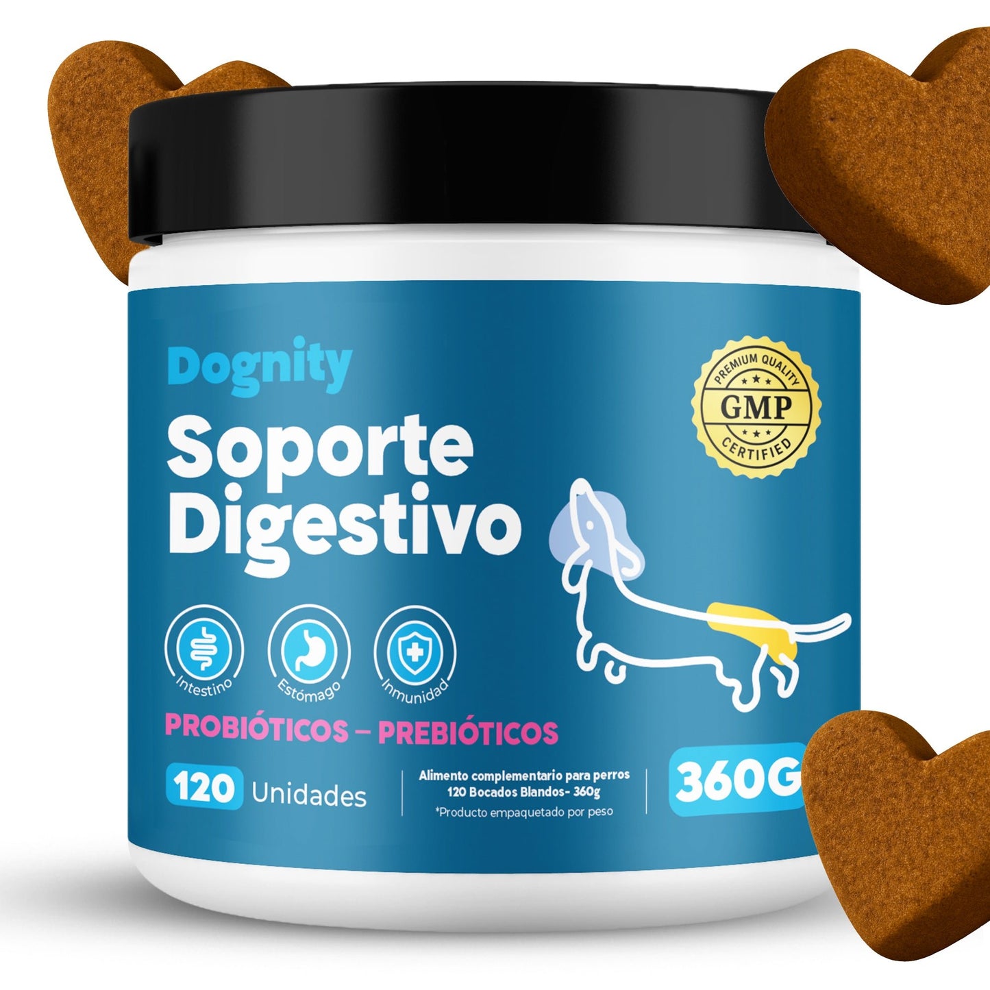 Probióticos para Perros – Mejora la Flora Intestinal y la Digestión | Dogfinity - Dogfinity
