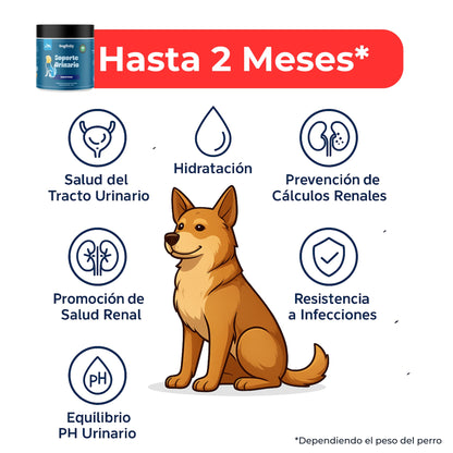 Soporte Urinario para Perros – Suplemento Natural Preventivo | Dogfinity - Dogfinity