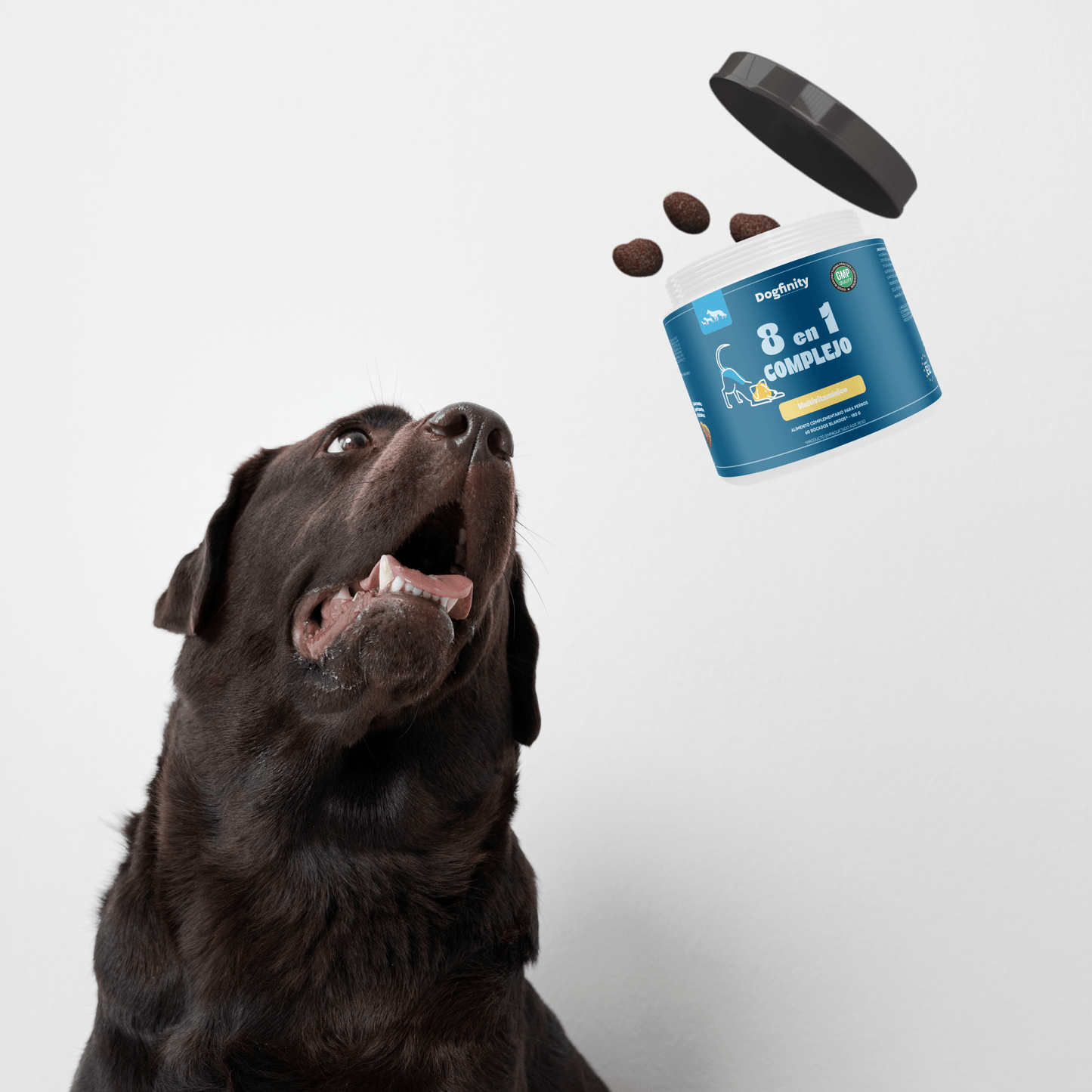 Suplemento 8 en 1 para Perros – Complejo Multivitamínico Total | Dogfinity - Dogfinity