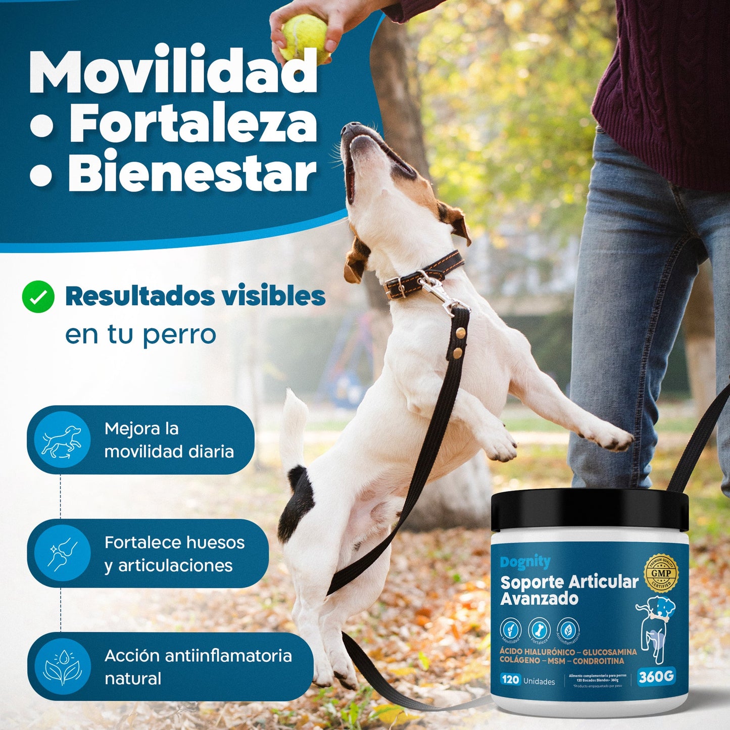 Suplemento Condroprotector para Perros – Huesosy Articulaciones, Glucosamina | Dogfinity - Dogfinity
