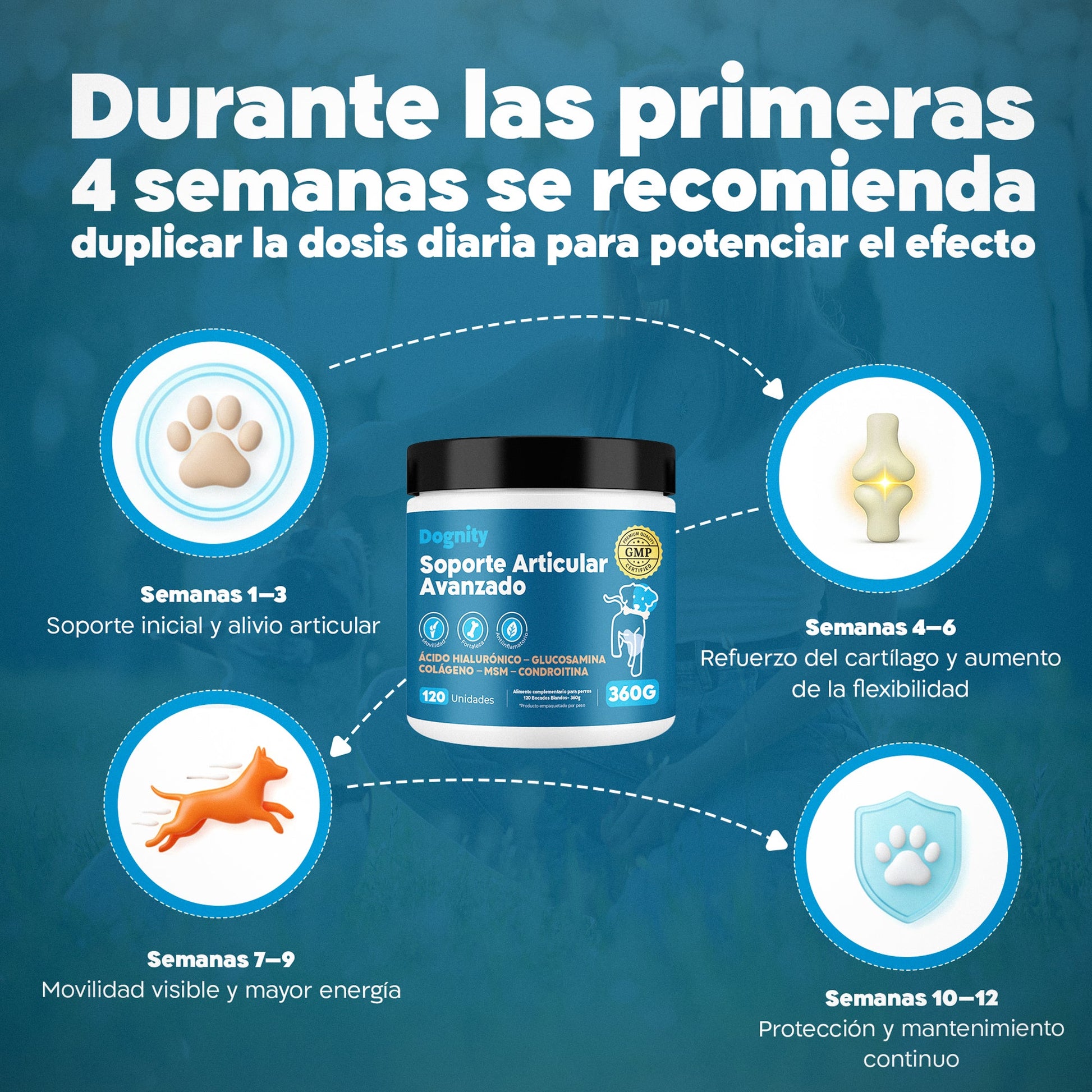 Suplemento Condroprotector para Perros – Huesosy Articulaciones, Glucosamina | Dogfinity - Dogfinity