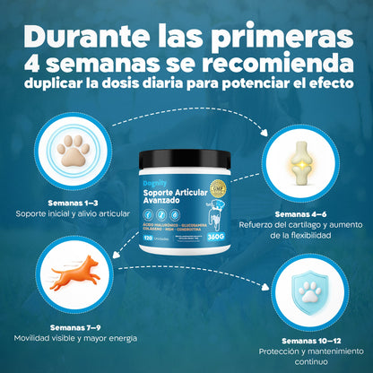Suplemento Condroprotector para Perros – Huesosy Articulaciones, Glucosamina | Dogfinity - Dogfinity