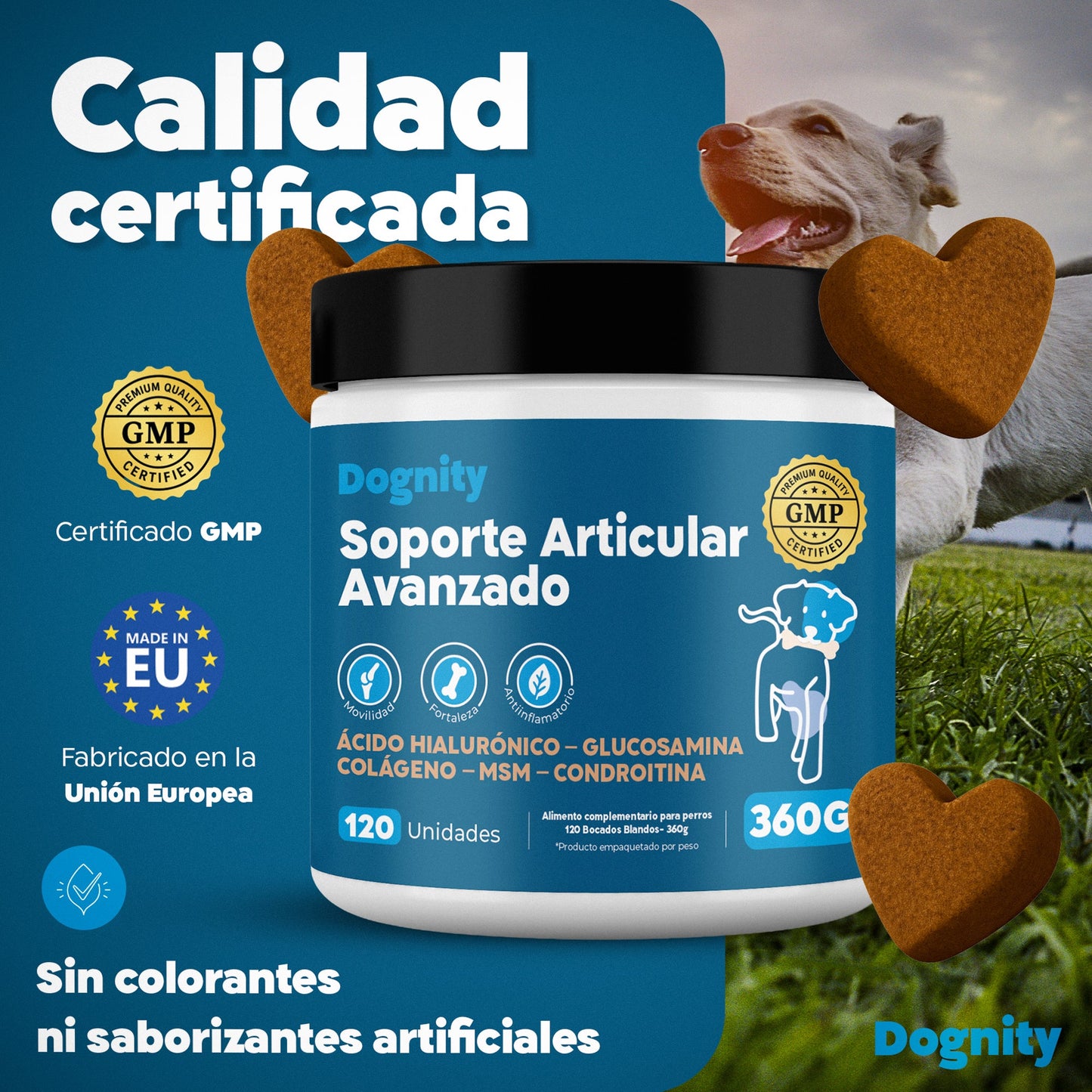 Suplemento Condroprotector para Perros – Huesosy Articulaciones, Glucosamina | Dogfinity - Dogfinity