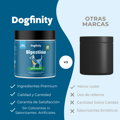 Suplemento Digestivo para Perros – Apoyo Intestinal Diario | Dogfinity - Dogfinity