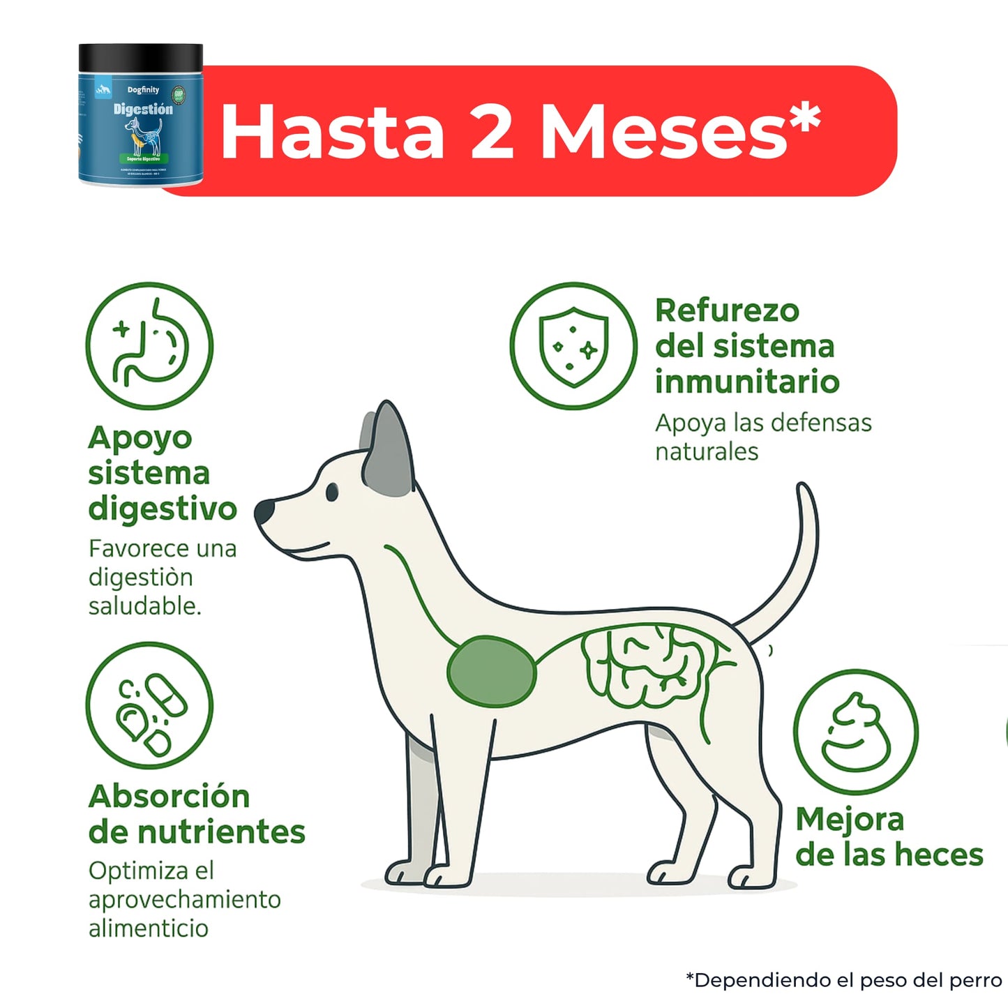 Suplemento Digestivo para Perros – Apoyo Intestinal Diario | Dogfinity - Dogfinity
