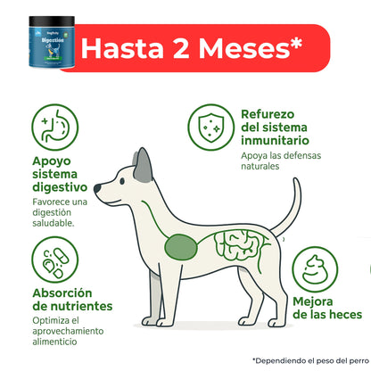 Suplemento Digestivo para Perros – Apoyo Intestinal Diario | Dogfinity - Dogfinity