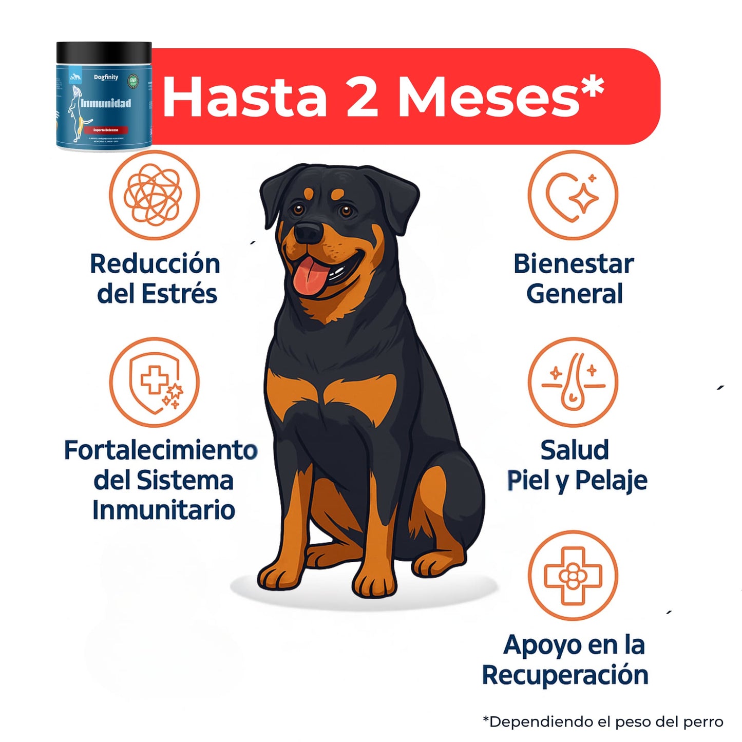 Suplemento Inmunológico y Alergias para Perros – Refuerzo de Defensas | Dogfinity - Dogfinity